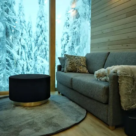 Auroras Karhu Syote
