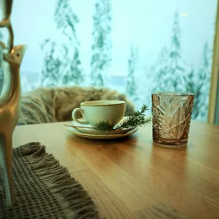 Auroras Karhu 샬레 소티