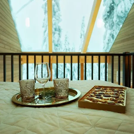 Domek alpejski Auroras Karhu