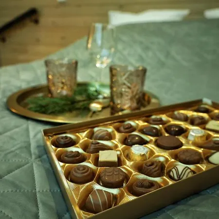 Domek alpejski Auroras Karhu