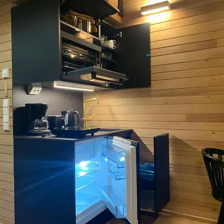 木屋 Auroras Karhu