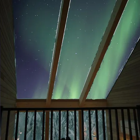 Auroras Karhu Chalet *
